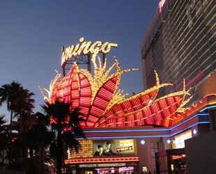 EXPLORING THE STRIP